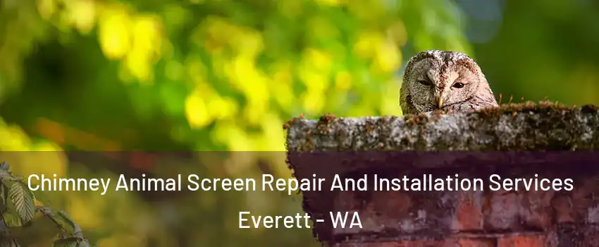  Chimney Animal Screen Repair And Installation Services Everett - WA