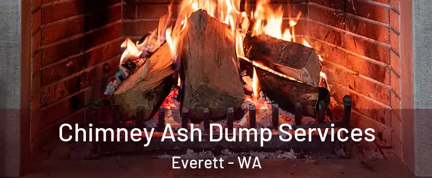  Chimney Ash Dump Services Everett - WA
