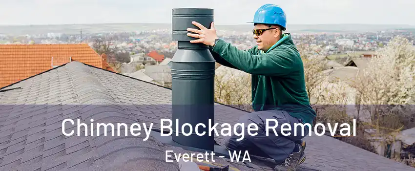  Chimney Blockage Removal Everett - WA