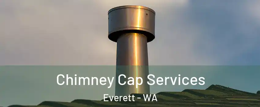  Chimney Cap Services Everett - WA