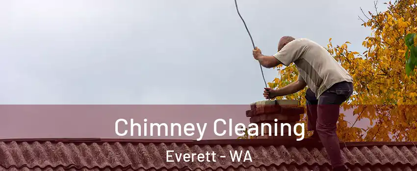 Chimney Cleaning Everett - WA
