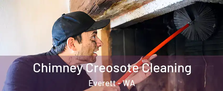  Chimney Creosote Cleaning Everett - WA