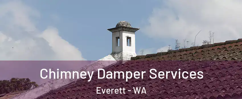  Chimney Damper Services Everett - WA