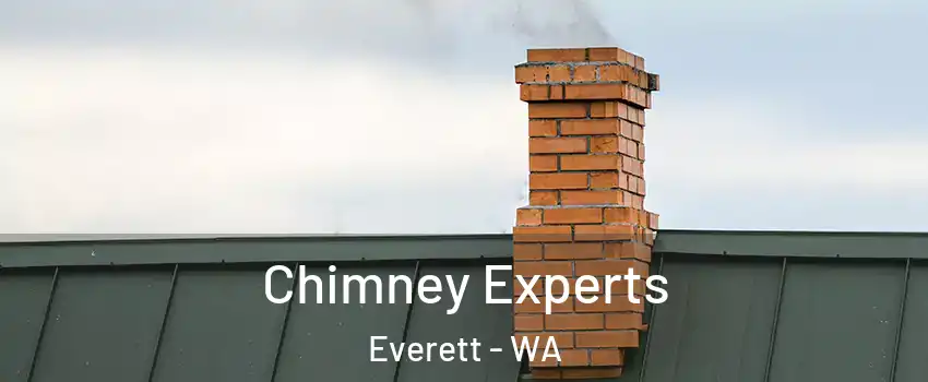 Chimney Experts Everett - WA