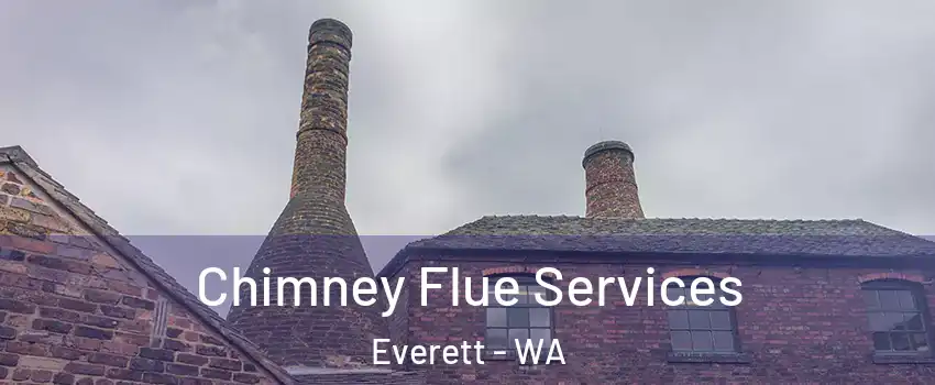  Chimney Flue Services Everett - WA