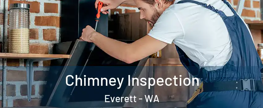  Chimney Inspection Everett - WA