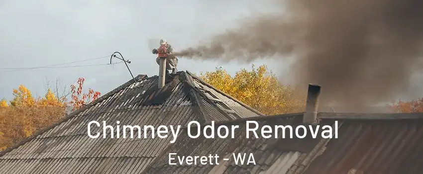  Chimney Odor Removal Everett - WA