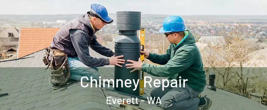  Chimney Repair Everett - WA