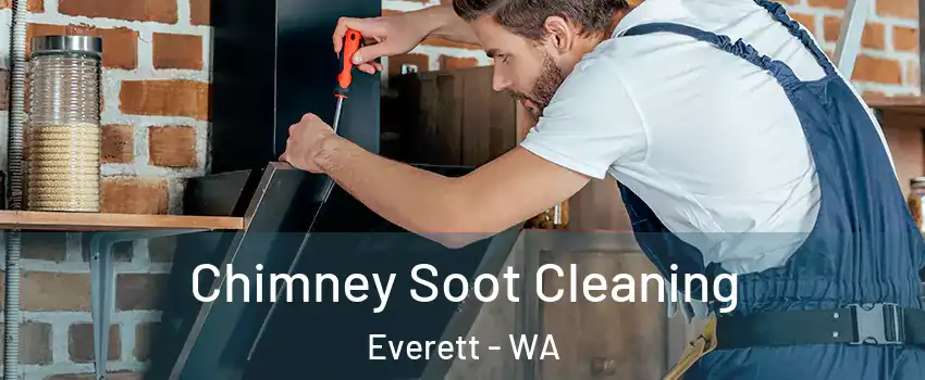 Chimney Soot Cleaning Everett - WA