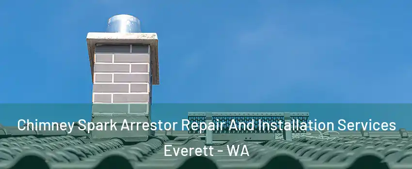  Chimney Spark Arrestor Repair And Installation Services Everett - WA