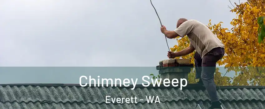  Chimney Sweep Everett - WA