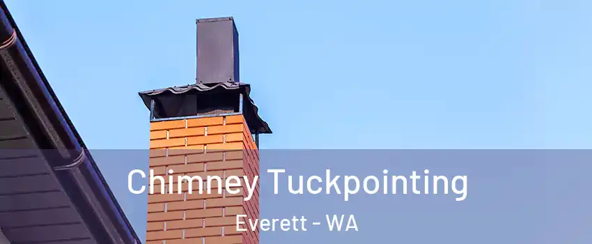  Chimney Tuckpointing Everett - WA