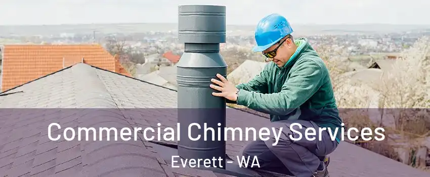  Commercial Chimney Services Everett - WA