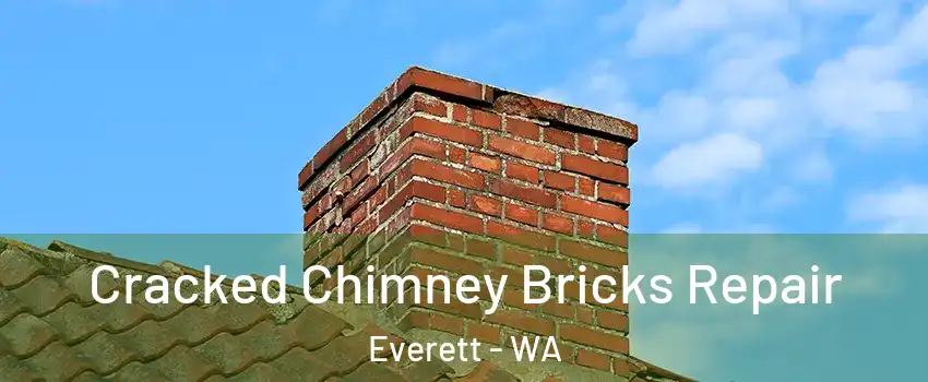  Cracked Chimney Bricks Repair Everett - WA