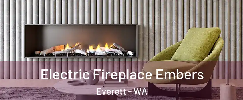  Electric Fireplace Embers Everett - WA
