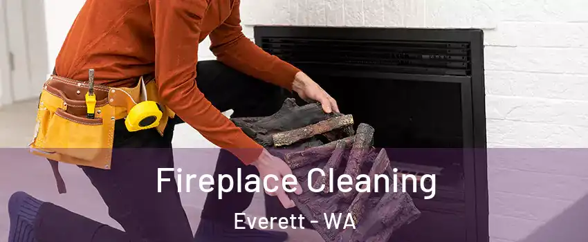  Fireplace Cleaning Everett - WA