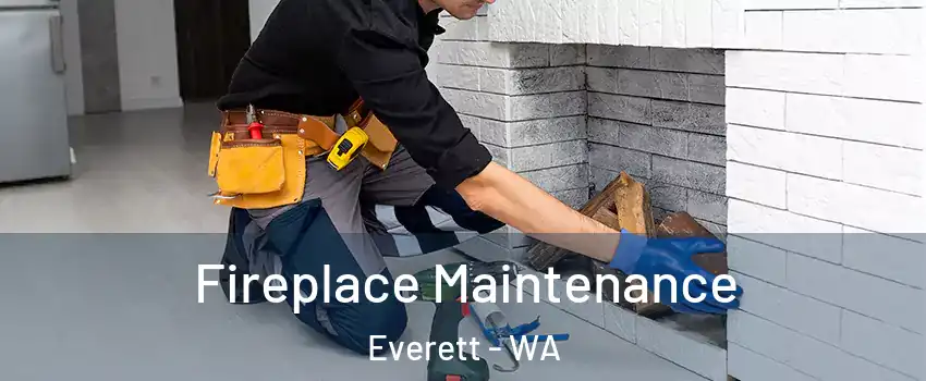  Fireplace Maintenance Everett - WA