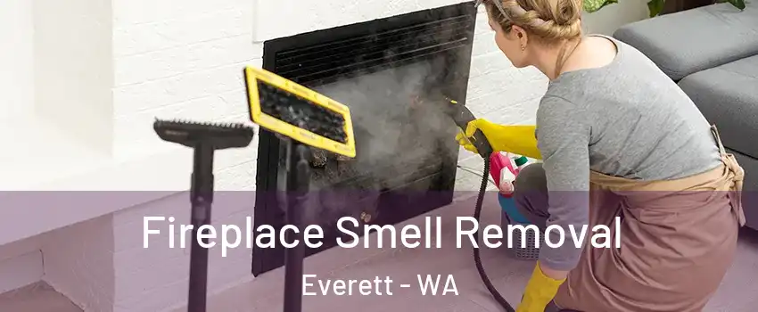  Fireplace Smell Removal Everett - WA