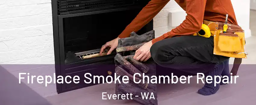  Fireplace Smoke Chamber Repair Everett - WA