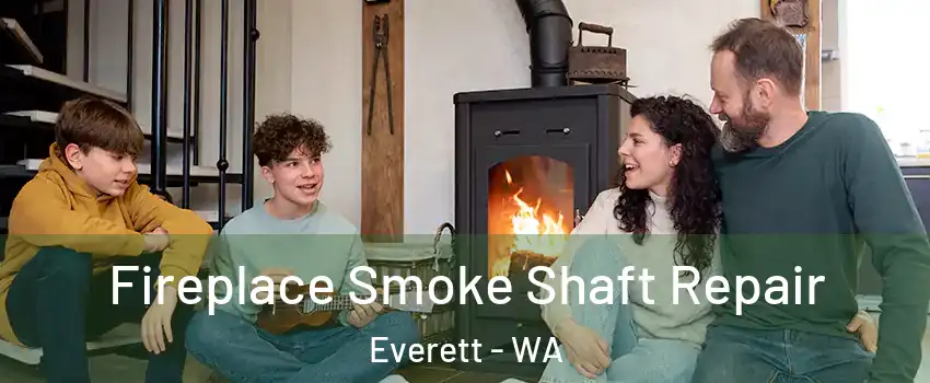 Fireplace Smoke Shaft Repair Everett - WA