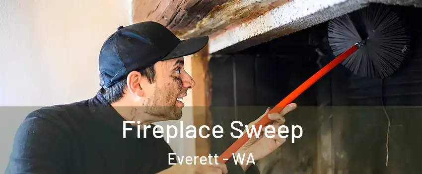  Fireplace Sweep Everett - WA