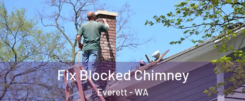  Fix Blocked Chimney Everett - WA