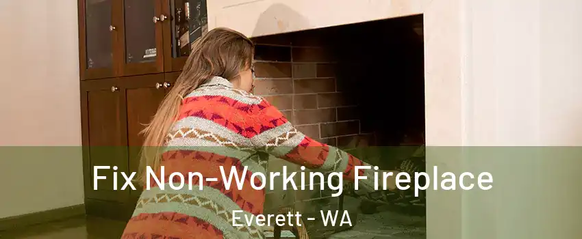  Fix Non-Working Fireplace Everett - WA