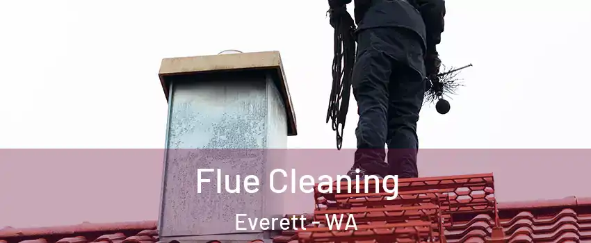  Flue Cleaning Everett - WA