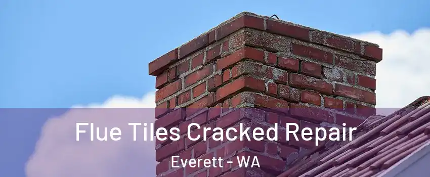  Flue Tiles Cracked Repair Everett - WA