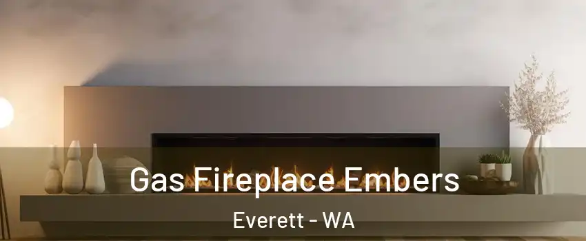  Gas Fireplace Embers Everett - WA