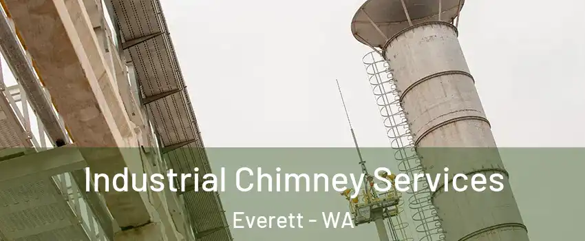  Industrial Chimney Services Everett - WA