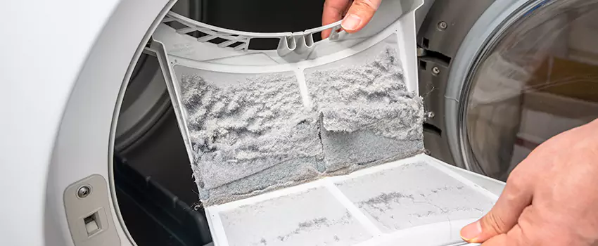 Best Dryer Lint Removal Company in Everett, Washington