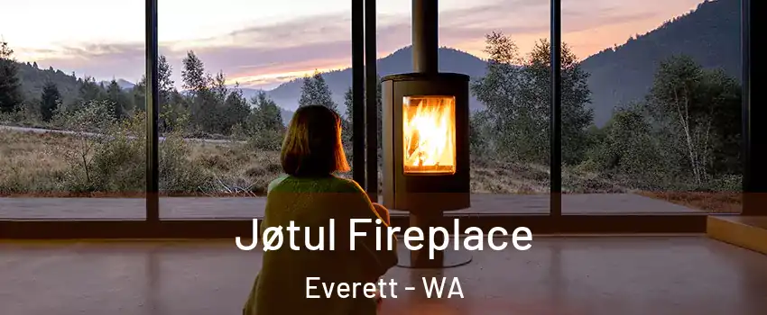  Jøtul Fireplace Everett - WA