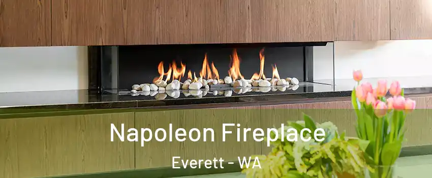  Napoleon Fireplace Everett - WA
