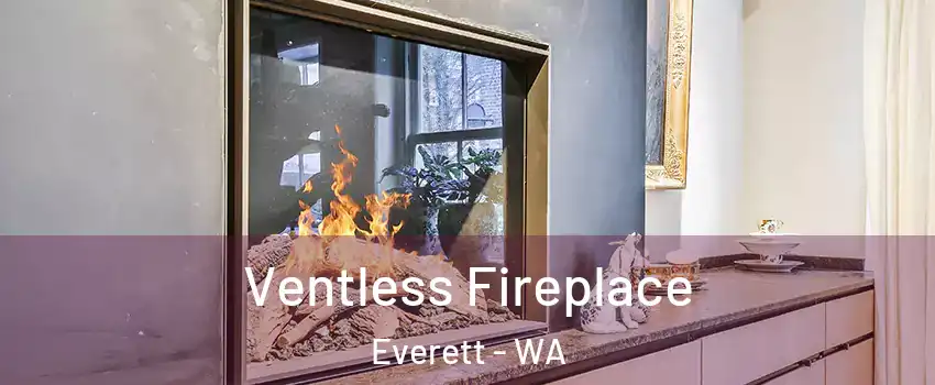 Ventless Fireplace Everett - WA